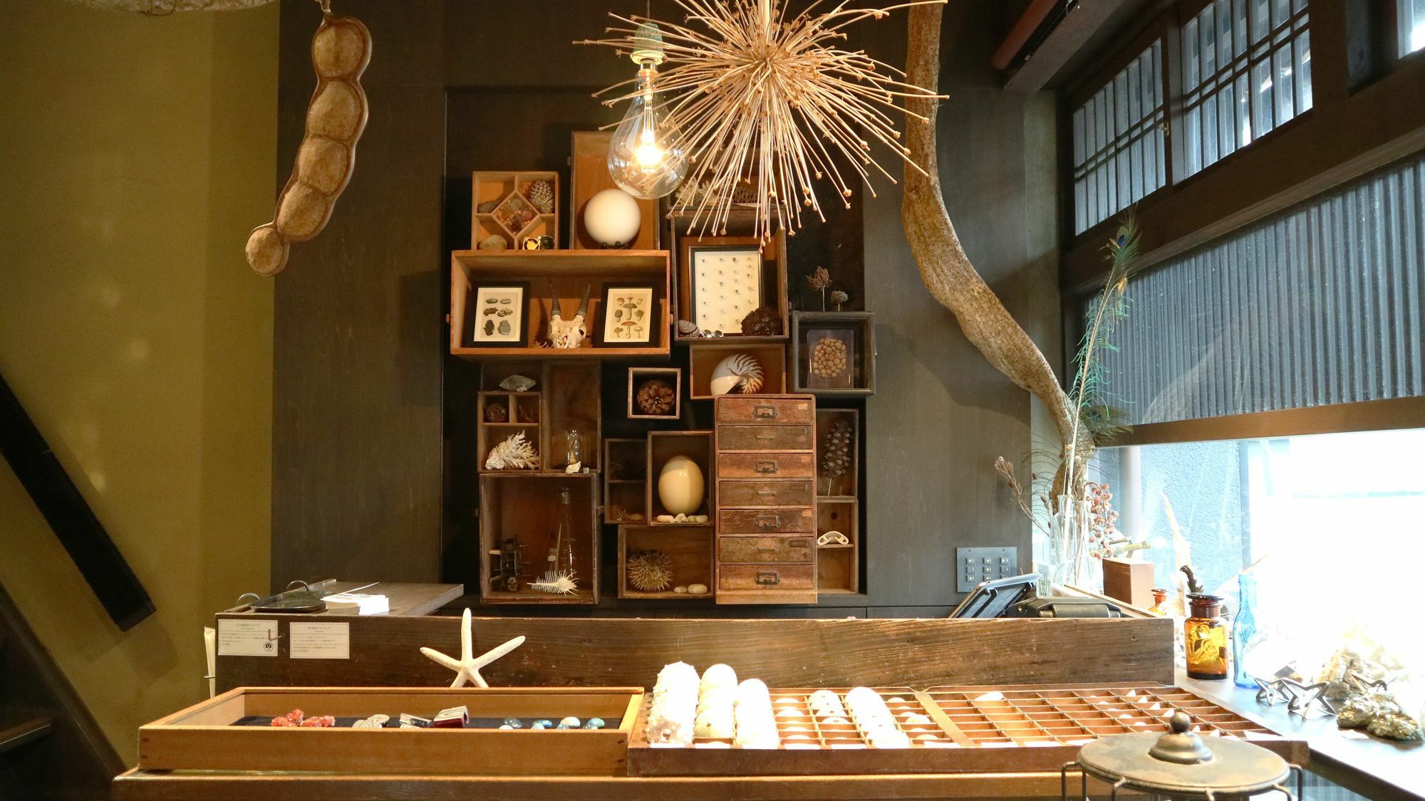 Usaginonedoko Kyoto Ngoại thất bức ảnh